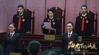 阳光下的法庭,法庭见证公平与法治