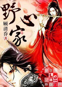 野心家,梦想与现实的交织之路